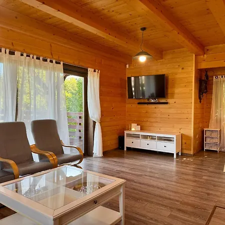 Willa Vip Villa Porąbka